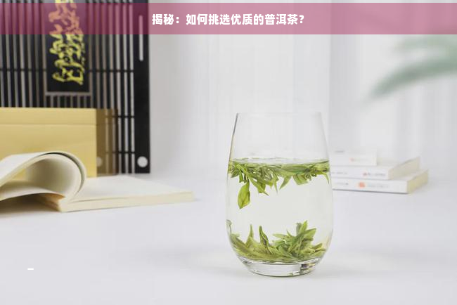 揭秘：如何挑选优质的普洱茶？