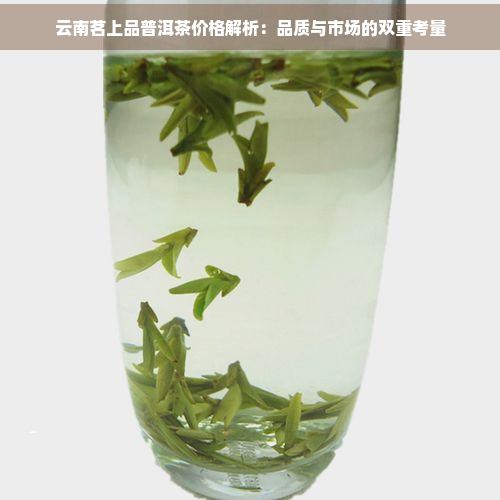 云南茗上品普洱茶价格解析：品质与市场的双重考量