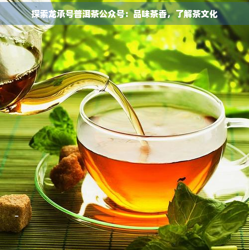 探索龙承号普洱茶公众号：品味茶香，了解茶文化