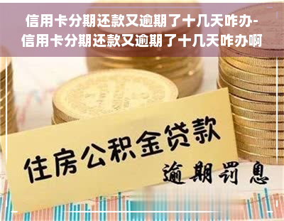 信用卡分期还款又逾期了十几天咋办-信用卡分期还款又逾期了十几天咋办啊