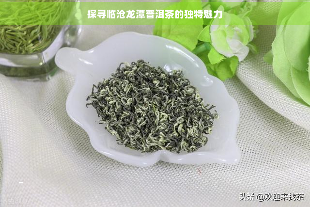 探寻临沧龙潭普洱茶的独特魅力