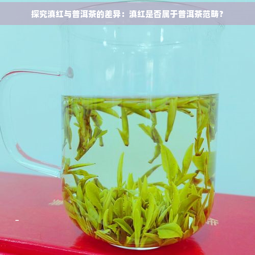 探究滇红与普洱茶的差异：滇红是否属于普洱茶范畴？