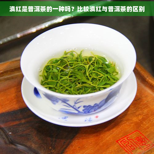 滇红是普洱茶的一种吗？比较滇红与普洱茶的区别