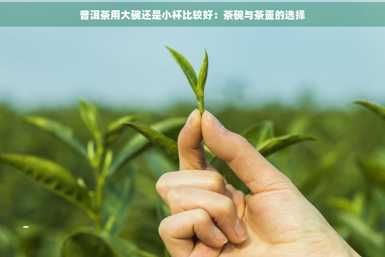 普洱茶用大碗还是小杯比较好：茶碗与茶壶的选择