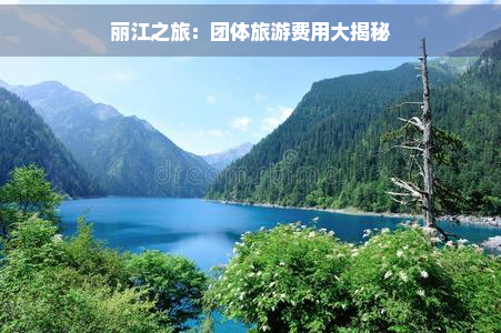 丽江之旅：团体旅游费用大揭秘