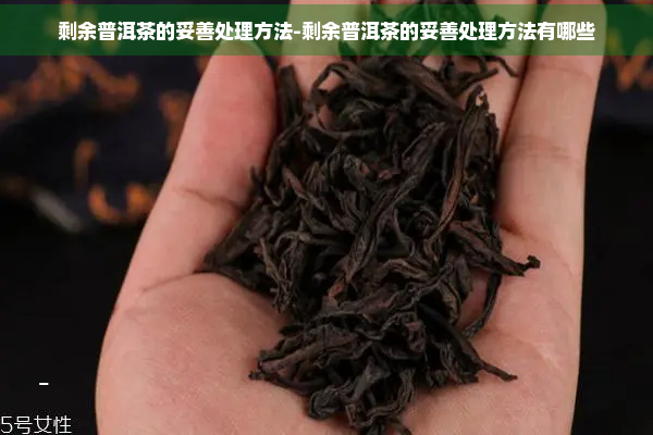 剩余普洱茶的妥善处理方法-剩余普洱茶的妥善处理方法有哪些