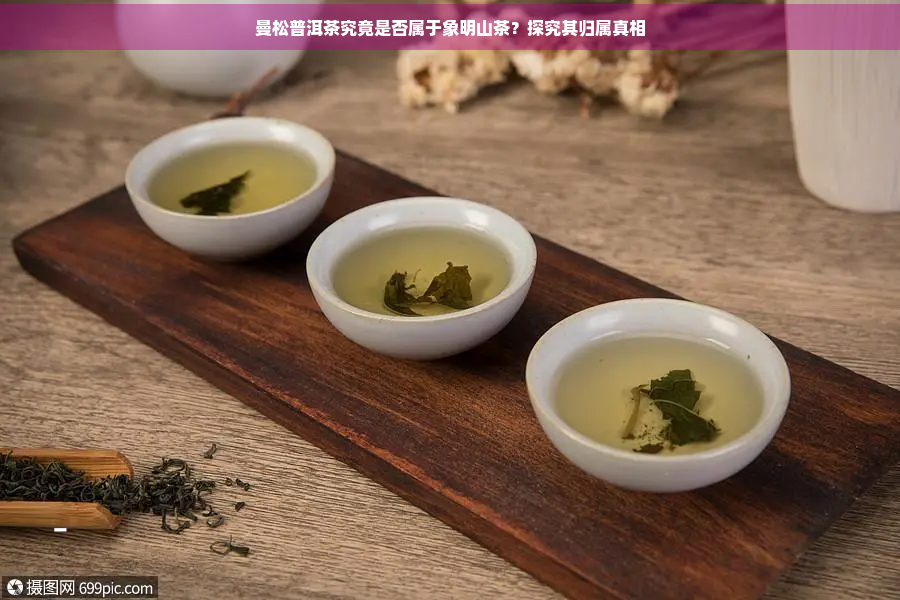 曼松普洱茶究竟是否属于象明山茶？探究其归属真相