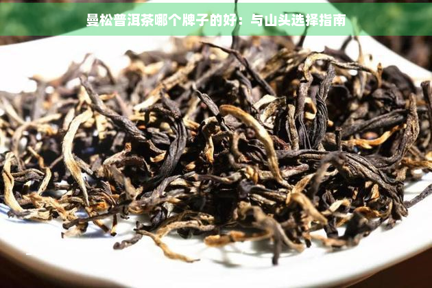 曼松普洱茶哪个牌子的好：与山头选择指南