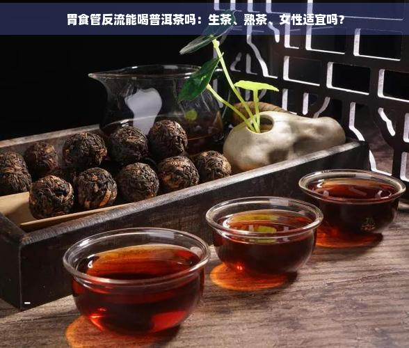 胃食管反流能喝普洱茶吗：生茶、熟茶、女性适宜吗？