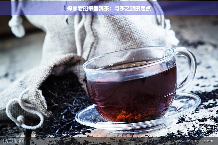 探索老班章普洱茶：寻茶之旅的起点