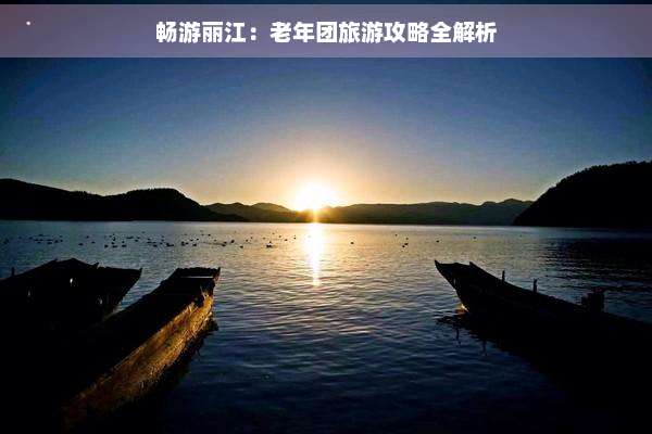 畅游丽江：老年团旅游攻略全解析