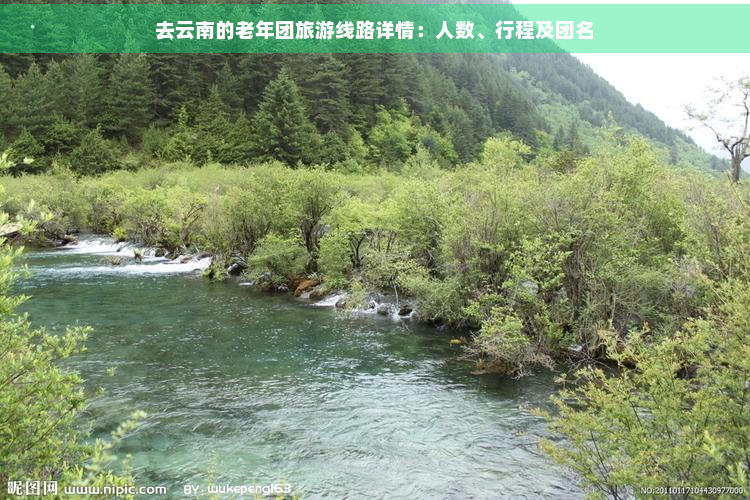 去云南的老年团旅游线路详情：人数、行程及团名