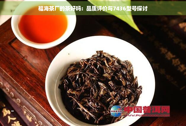 福海茶厂的茶好吗：品质评价与7436型号探讨