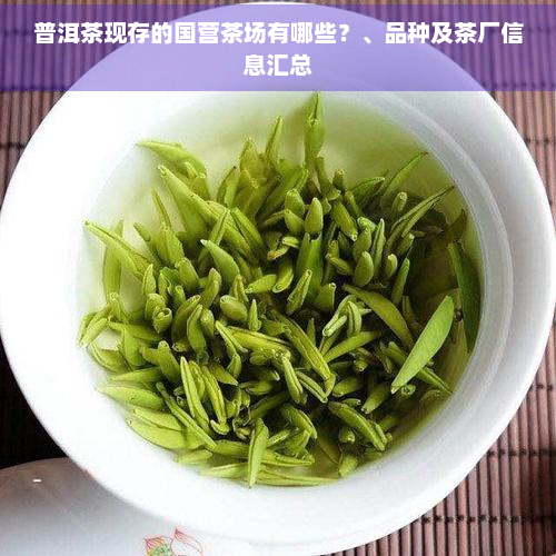 普洱茶现存的国营茶场有哪些？、品种及茶厂信息汇总