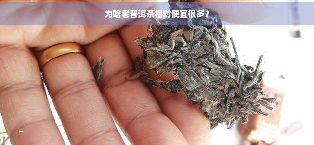 为啥老普洱茶相对便宜很多？