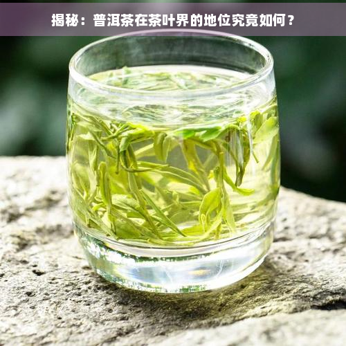 揭秘：普洱茶在茶叶界的地位究竟如何？