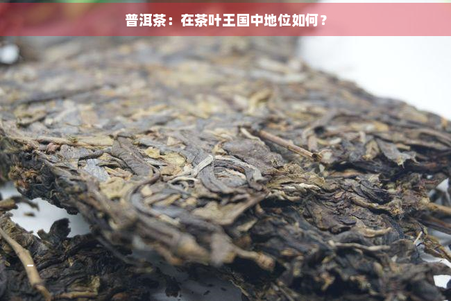 普洱茶：在茶叶王国中地位如何？