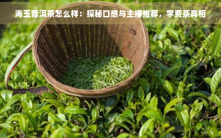 海玉普洱茶怎么样：探秘口感与主播推荐，学费茶真相