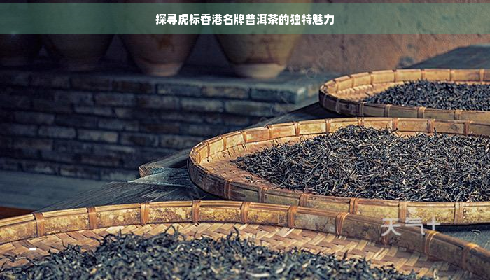 探寻虎标名牌普洱茶的独特魅力