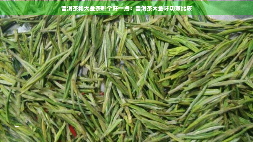 普洱茶和大金茶哪个好一点：普洱茶大金牙功效比较