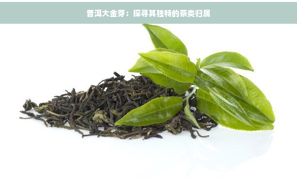 普洱大金芽：探寻其独特的茶类归属