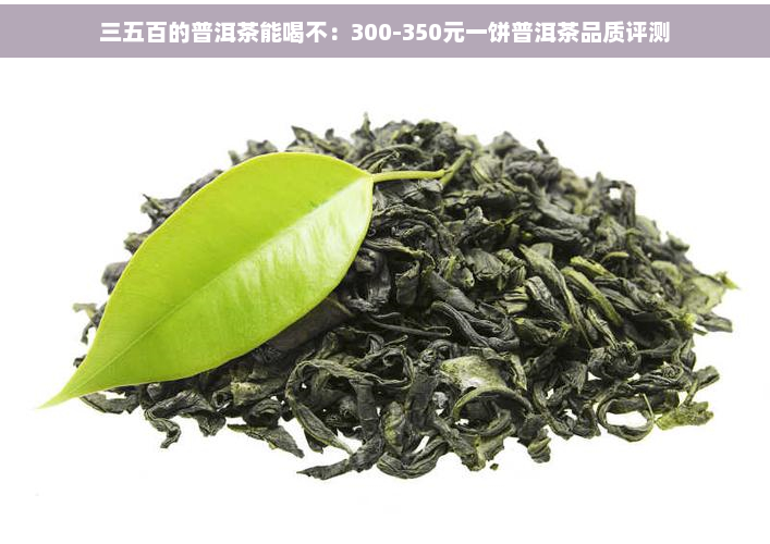 三五百的普洱茶能喝不：300-350元一饼普洱茶品质评测