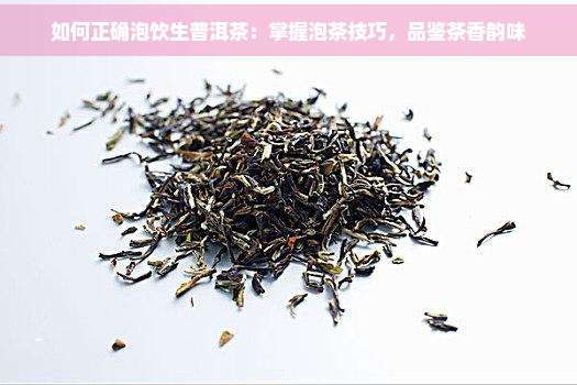 如何正确泡饮生普洱茶：掌握泡茶技巧，品鉴茶香韵味