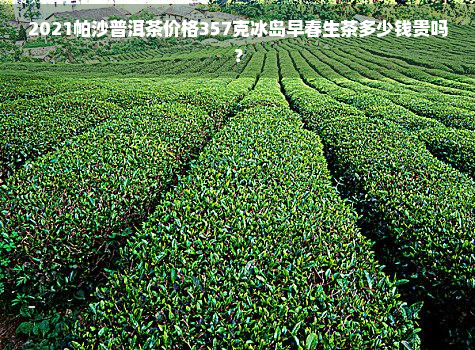 2021帕沙普洱茶价格357克冰岛早春生茶多少钱贵吗？