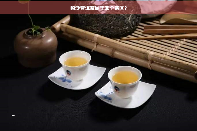 帕沙普洱茶属于哪个茶区？