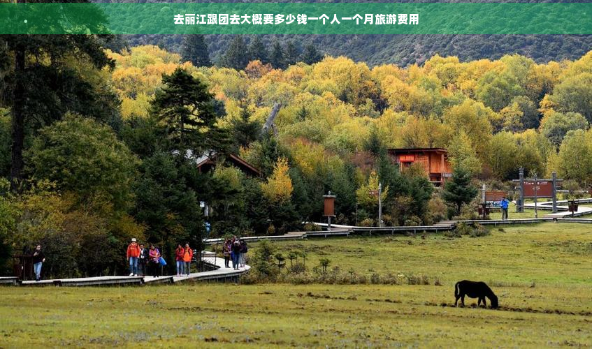 去丽江跟团去大概要多少钱一个人一个月旅游费用