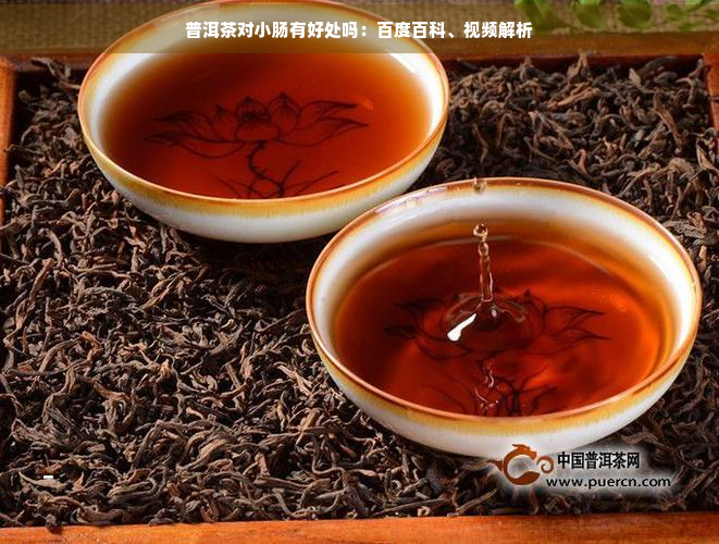 普洱茶对小肠有好处吗：百度百科、视频解析