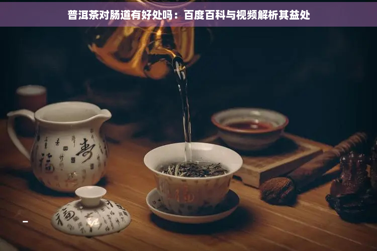 普洱茶对肠道有好处吗：百度百科与视频解析其益处