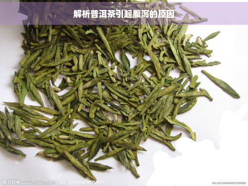 解析普洱茶引起腹泻的原因