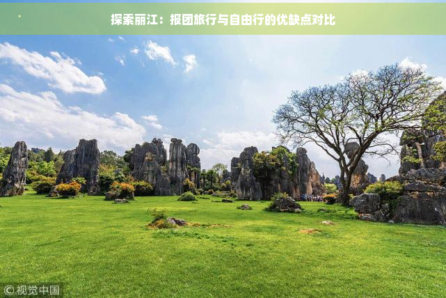 探索丽江：报团旅行与自由行的优缺点对比