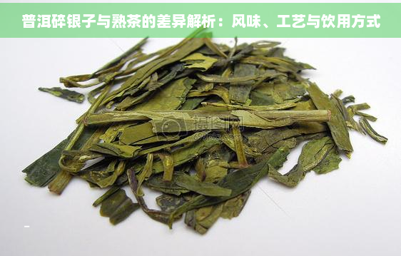 普洱碎银子与熟茶的差异解析：风味、工艺与饮用方式