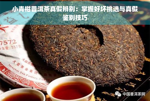 小青柑普洱茶真假辨别：掌握好坏挑选与真假鉴别技巧