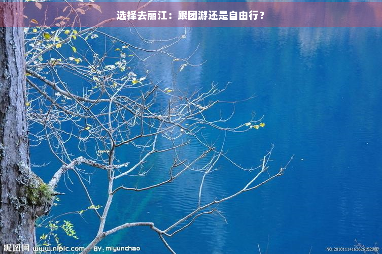 选择去丽江：跟团游还是自由行？