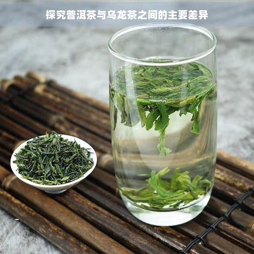 探究普洱茶与乌龙茶之间的主要差异