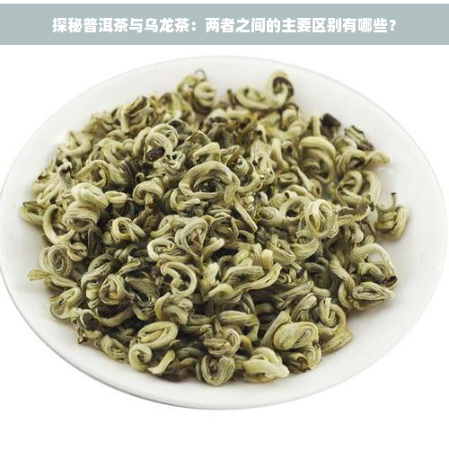 探秘普洱茶与乌龙茶：两者之间的主要区别有哪些？