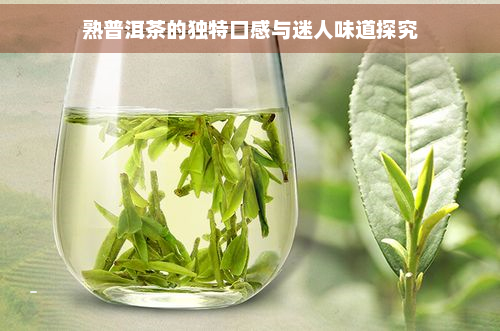 熟普洱茶的独特口感与迷人味道探究