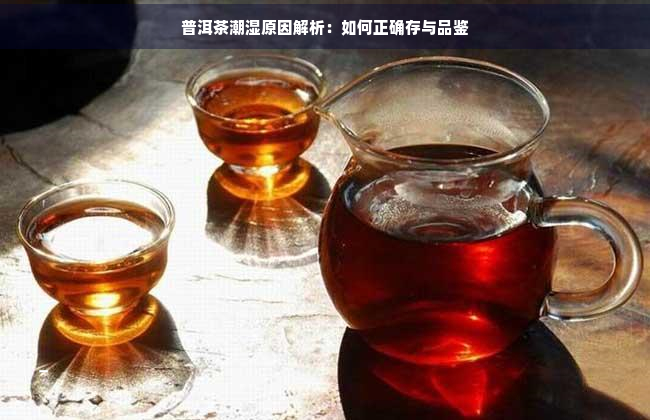 普洱茶潮湿原因解析：如何正确存与品鉴