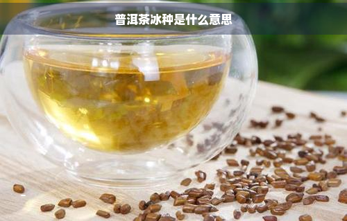 普洱茶冰种是什么意思