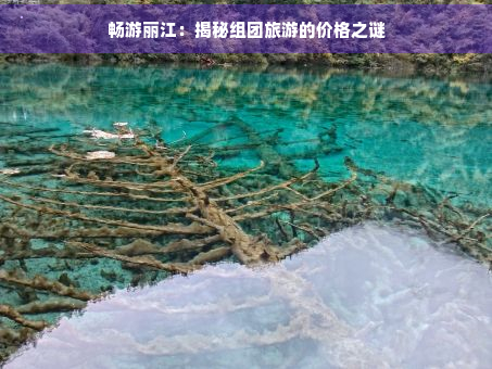 畅游丽江：揭秘组团旅游的价格之谜