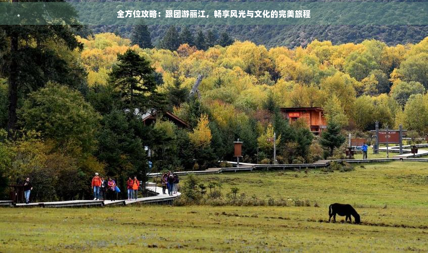 全方位攻略：跟团游丽江，畅享风光与文化的完美旅程