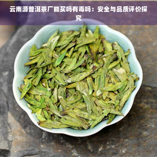 云南源普洱茶厂能买吗有吗：安全与品质评价探究