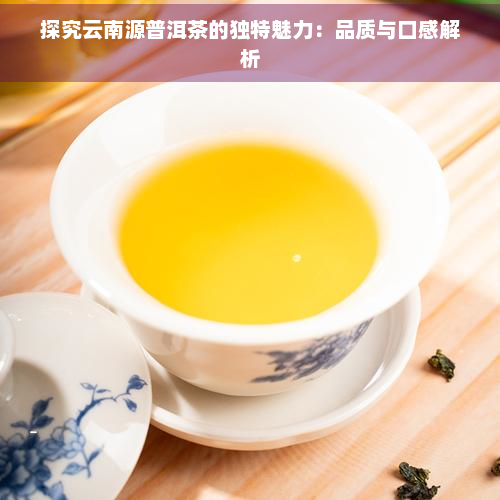 探究云南源普洱茶的独特魅力：品质与口感解析