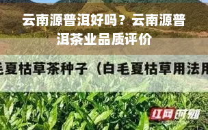 云南源普洱好吗？云南源普洱茶业品质评价