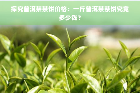 探究普洱茶茶饼价格：一斤普洱茶茶饼究竟多少钱？