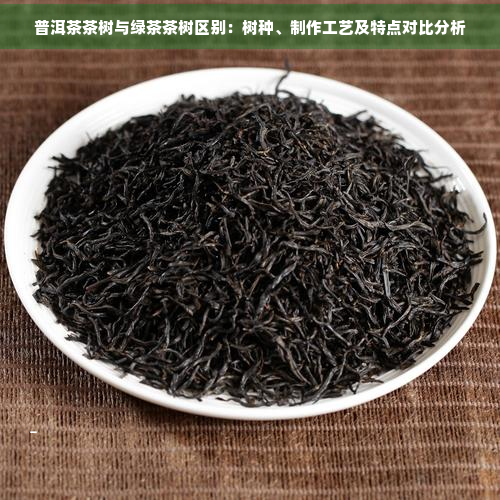 普洱茶茶树与绿茶茶树区别：树种、制作工艺及特点对比分析