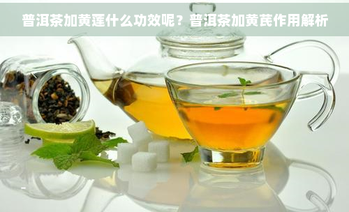 普洱茶加黄莲什么功效呢？普洱茶加黄芪作用解析